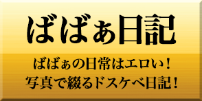 写メ日記